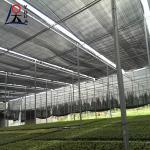 1m-6m Width Lightweight Shade Cloth Agricultural Planting Greenhouse Breeding