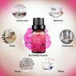 Volume 5ml Body Essential Oils Perfume OEM / ODM Organic Geranium Essential Oil