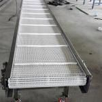 Manufacturer Supply Stainless Steel Conveying Belt/Belt Conveyor/Conveyor Food