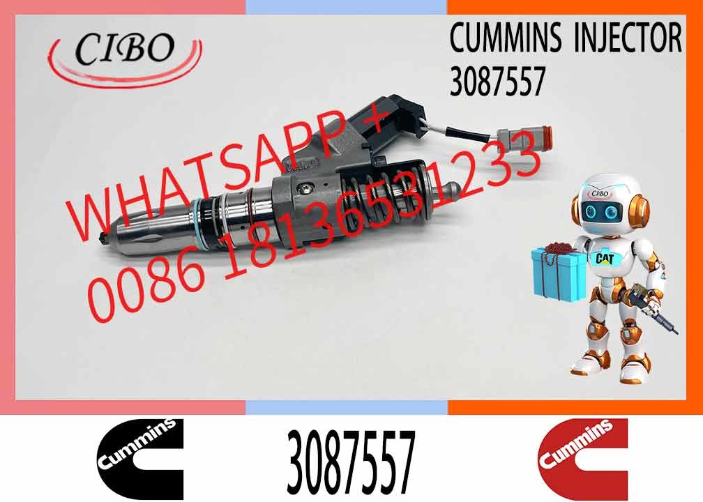 Common Rail Injector Fuel Injector 3411756 3083849 3087557 4307516 For M11 Excavator