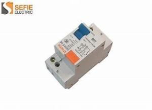 China Safety Protection Adjustable 2P Selective 10 AMP Rcbo for household factory