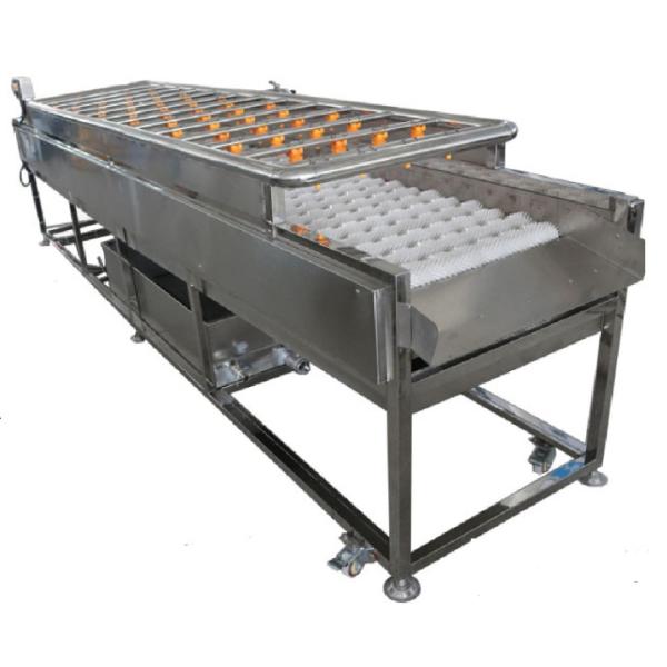 China 3.35KW Food Processing Machinery , 1000kg/h Spray Cleaning Machine factory