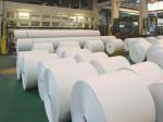 55-98gsm Culture Paper/Uncoated Paper Sheet/Reel Size with 3or-4% Grammage