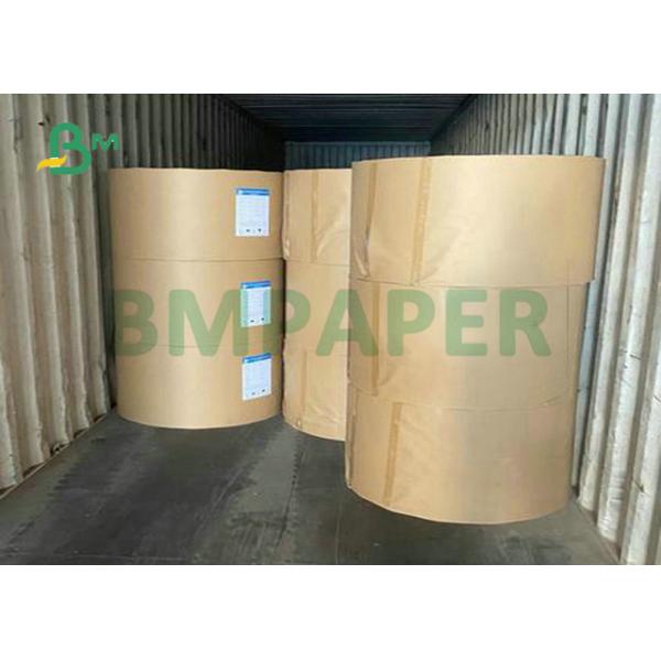 270Grs 290Grs Food Grade Ivory Board Paper For Food Container Making 95 x 130cm 