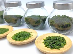 China OEM Aonori Dried Green Seaweed Ulva Nori Customizable Packaging And Size factory