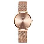 Waterproof Sunray DIAL Ladies Quartz Watches BSCI