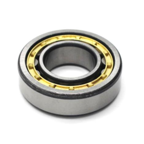 Cylindrical N222 N224 N226 N200 Series N205 N220 Bearing Roller Tapered Single