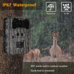 KW696 outdoor hunting camera dual-lens 30MP no-glow trail camera 1080p night
