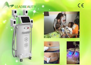 China Hot Selling Weight Loss and Body Shapeing Cryolipolysis Machine factory