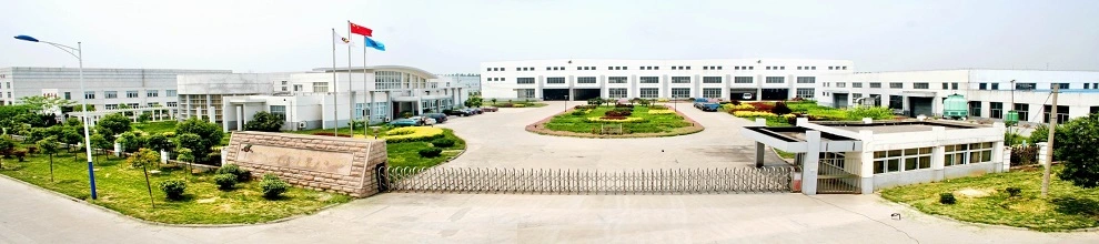 Ce ISO ASME Certificated Vacuum Cone Dryer for Pharmaceutical, Chemicals Guanules, and Food Product From Top Chinese Manufacturer, GMP Dryer