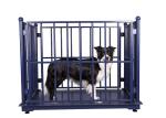 Electronic KELI 5000KG Cattle Weighing Systems Carbon Steel