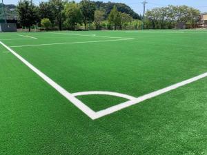 China FIFA Approved Football Soccer Artificial Grass Soccer Turf Carpet factory