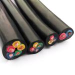 RVV Cable Electrical Cable 5*1.5 5*2.5 300/500V 3X12 4X12 for Home Appliances
