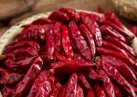 5lb. Bulk Tien Tsin Chile Peppers For Chinse Cuisine Cooking