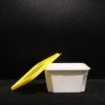 450ml Leakproof PP Lunch Box with Snap On Lid for Hot/Cold Food,Snack,Fruit