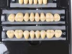 Clear Dental Acrylic Resin Kit Teeth Synthetic 2 Layers Dent Resin Teeth