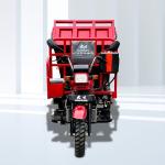 Maximum Speed 50-70Km/h High Cargo Side Adult Recumbent Tricycle 200cc Tipper