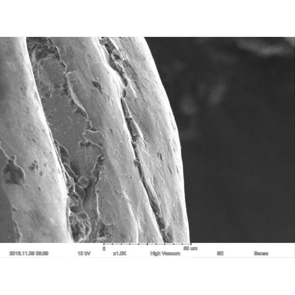 Magnification Max 60000X Scanning Electron Microscope 15nm Resolution Optional EDS