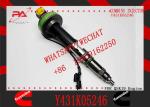 Fuel Injector Y431K05246 For CUMMINS QSK19