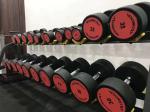 gym dumbbell