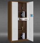 Hot selling new combination coded lock 2 doors steel office furniture government