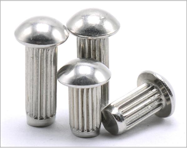 Stainless Steel Round Head Knurling Rivets Pan Head Rivets for Name Plate Round