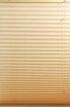 Contemporary Windows Shades Blinds Beige with Pleated Venetian style