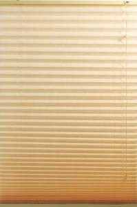 China Contemporary Windows Shades Blinds Beige with Pleated Venetian style factory