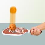 Premium Physiotherapy Rehabilitation Equipment Pickle Ball Paddle Set