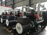 240KW Natural Gas LPG Propane Generator Biogas Power Generator