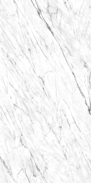 Modern Porcelain Tile Foshan Supplier Living Room Full Body Carrara White Marble