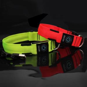 China C906 Wholesale Fashion Colorful Customized Logo Flashing Rechargeable LED Dog Collar For Safety Night Walk factory