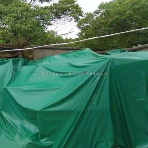 China Multi-purpose Woven Green Tarpaulin Sheet for Heavy Duty Applications in Pakistan factory