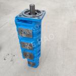CBGJ Tetralogy Pump Square cover Spline Compact Original Gear Pump For