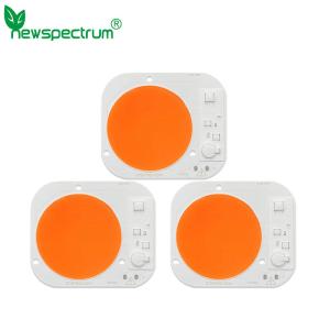 China High Lumens 50W Horticulture COB Round Cob Led Light For Spotlights factory