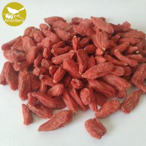 China China supplier dried medlar wolfberry goji berry Health fruit ningxia zhongning low pesticide dried goji berry factory