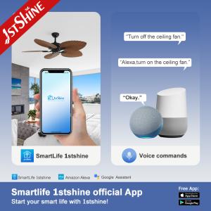 52-Inch Tropical Ceiling Fans With Lights And Remote For Medium To Large Spaces