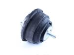Right Bmw Engine Mounts 11811137238 Car Engine Mounting 11811141377