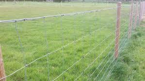 China Flat Surface Stainless Steel Mesh Sheet Grassland Mesh Animal / Farm Fence factory