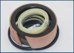 VOE 14589148 VOE14589148 Boom Cylinder Seal for SUNCARSUNCARVOLVO EW55 EC60C