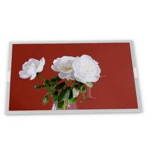 China M238HAN01.0 LCD 23.8 Inch A-Si TFT-LCD Rectangular Screen Lcd Display Panel New and Original factory