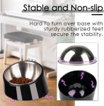 Design Mess Free 15° Slanted Bowl for Dogs and Cats