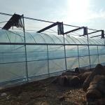 10000m2 Big Span Agriculture Multi Span Greenhouse Plastic Film Green House For