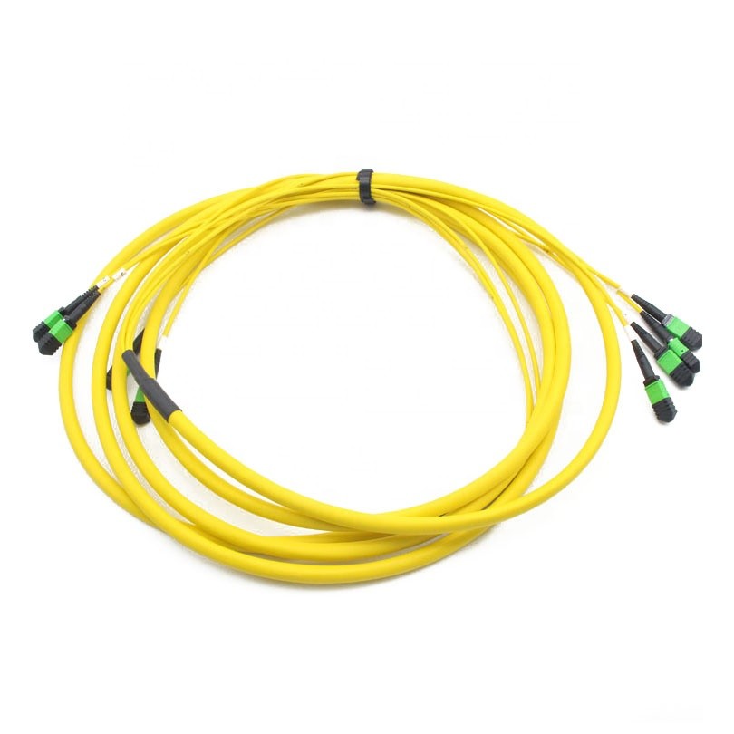Fiber Optic Patch Cord MPO / MTP Connector 48 Fiber SM Type