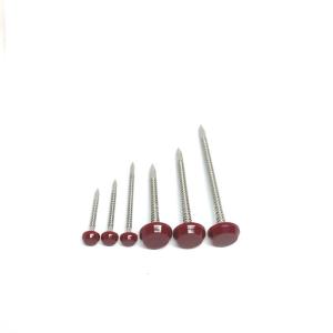 China Corrosion Resistant SS304L Plastic Cap Roofing Nails on sale