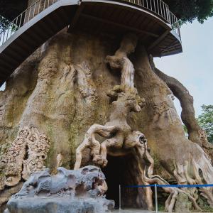 30m Tall Magic Treehouse for theme park – Artificial House Trees of life Designs