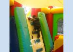 Lead Free PVC Tarpaulin Inflatable Bouncy Castles , Rainbow Castle Slide