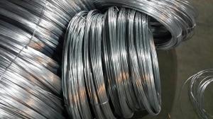 China low price GI wire, electro galvanized iron wire factory