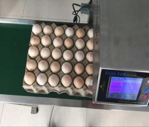 China Original Egg Print Silver Head For Inkjet Printer One Year Warranty factory
