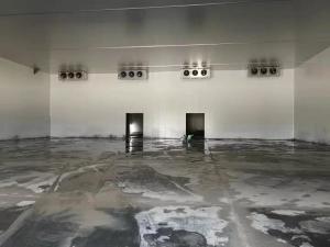 China Freon Refrigerant Cold Storage Room for Distribution of Vegetables Fruits Fishes Meat 10 factory